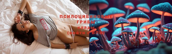 apvp Вязьма