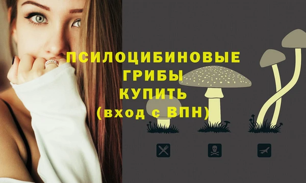 apvp Вязьма