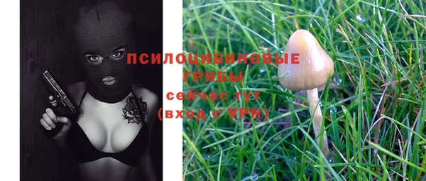 apvp Вязьма