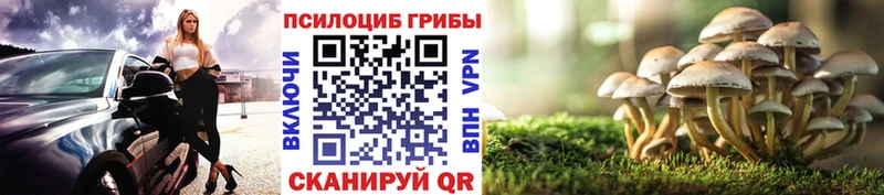 Псилоцибиновые грибы Magic Shrooms  Купить  Новокубанск 